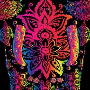 Meet your Posher, Frances